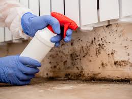 Best Indoor Air Quality Assessment  in Brewster Hill, NY